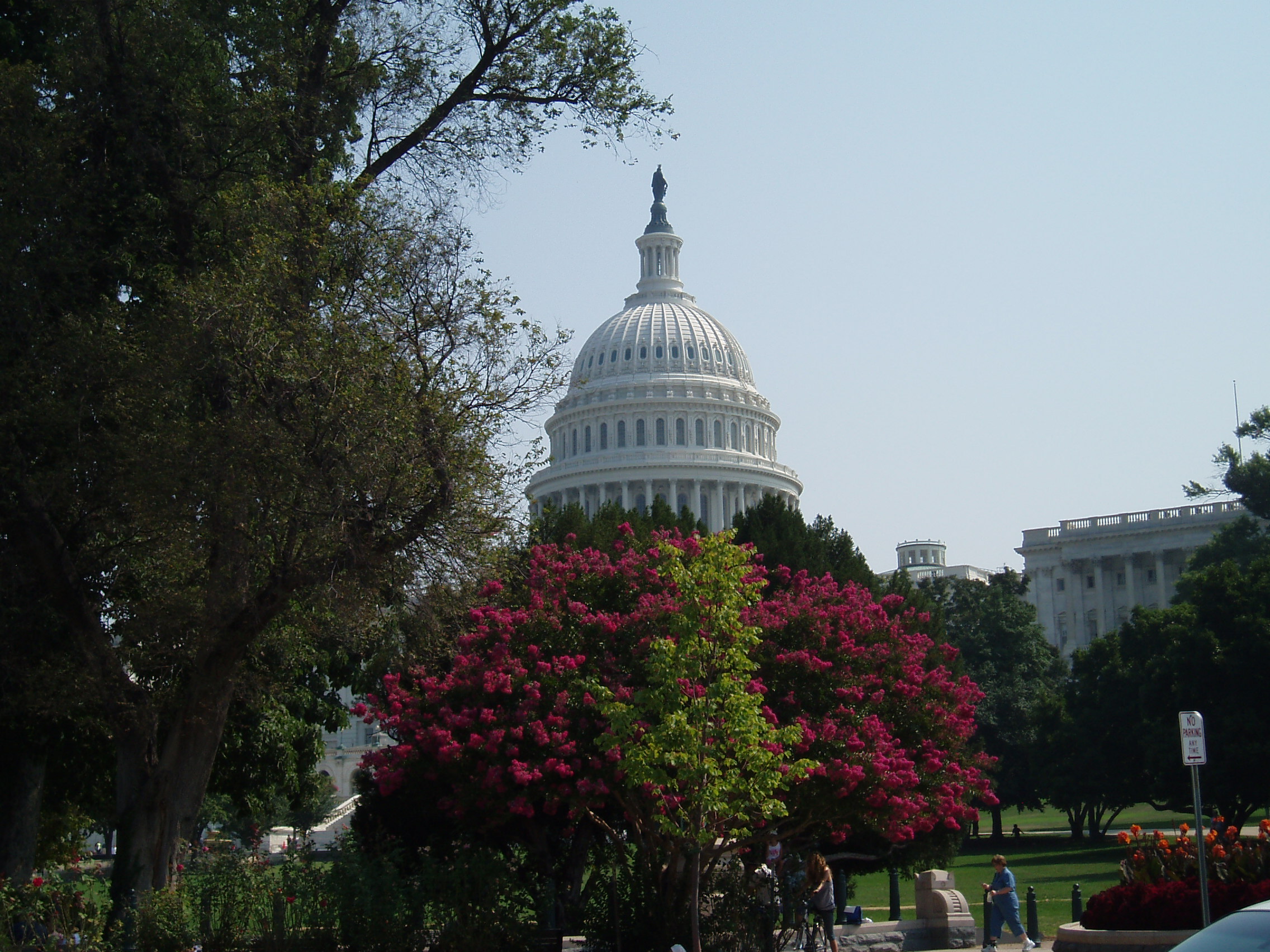 Writing from the nation's capital